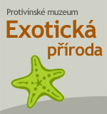 Exotická příroda