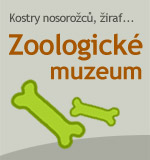 Zoologické muzeum